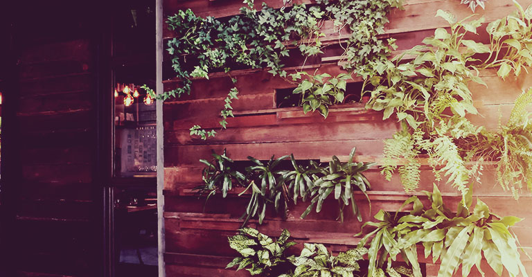 Vertical garden on wooden wall with trees