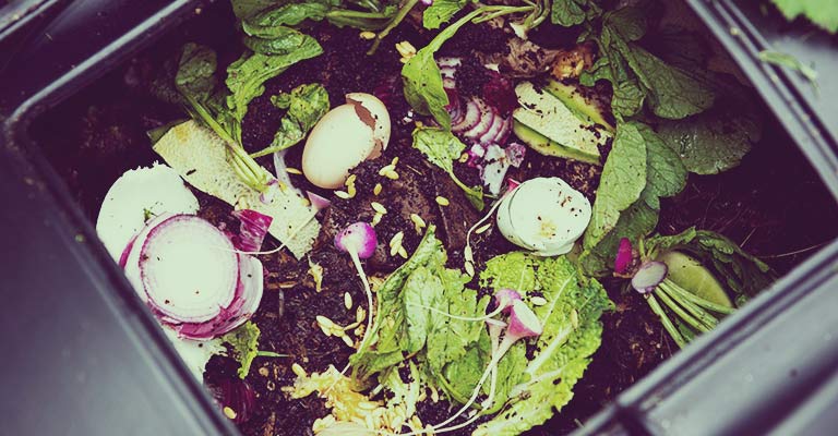 Créer votre propre compost avec vos déchets alimentaires