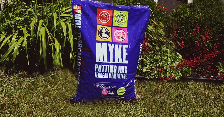 MYKE Potting Mix is perfect to grow your tomatoes in container