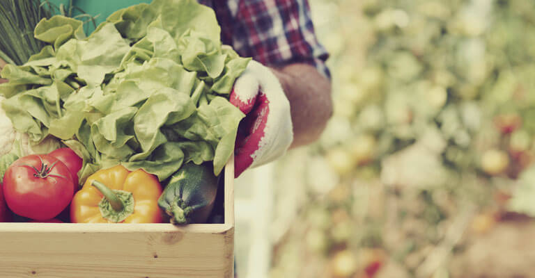 How to preserve your vegetables longer