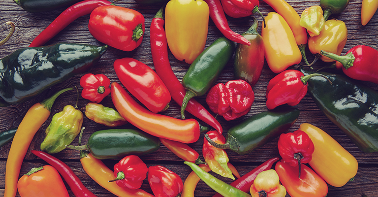 Are chilis and peppers the same species?