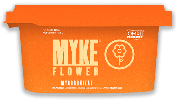 MYKE FLOWER | MYKE