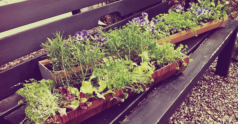 Accessoire de cuisine GENERIQUE Protège-mur jardin de fines herbes