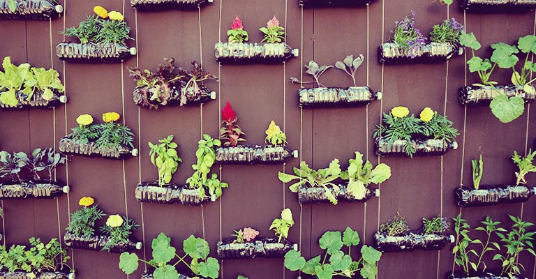 Suspended used bottles garden recycle MYKE Gardening