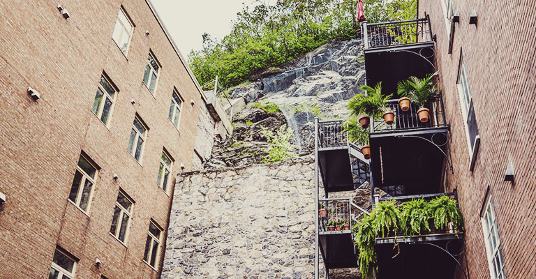 Vegetable garden on building stairs