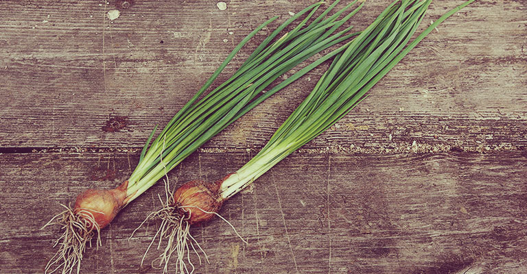 green onions