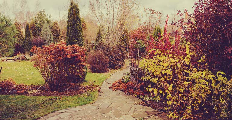 Things to do in your garden before winter by MYKE Gardening