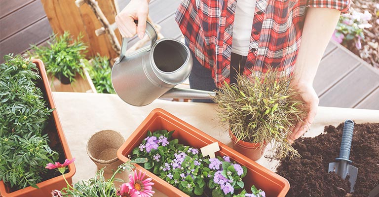 Une jardinière qui arrose ses plantes en pot