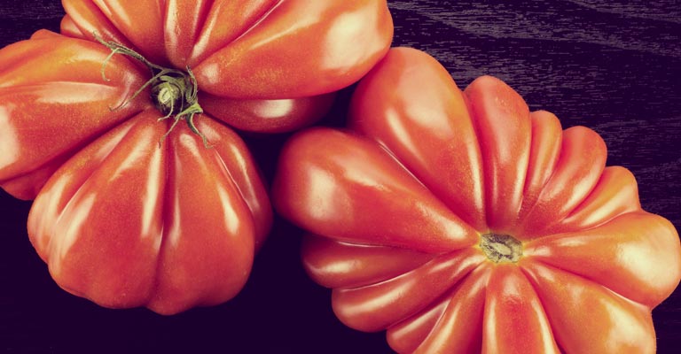 Tomate Cœur de bœuf