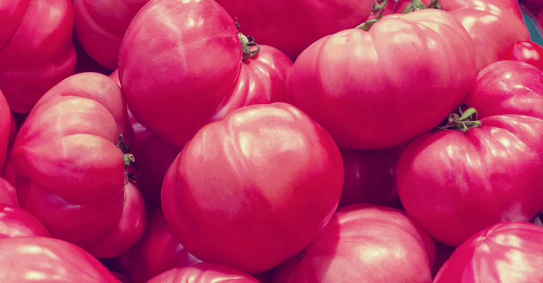 Rose de Berne tomatoes