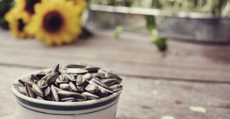 Seeds from flowers