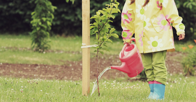 Watering a tree