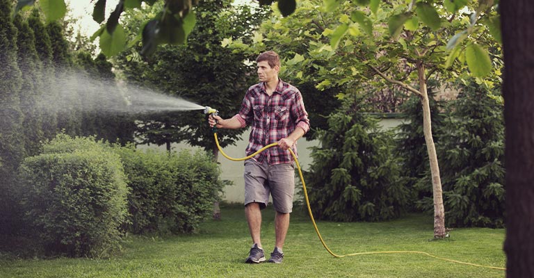Men watering his trees