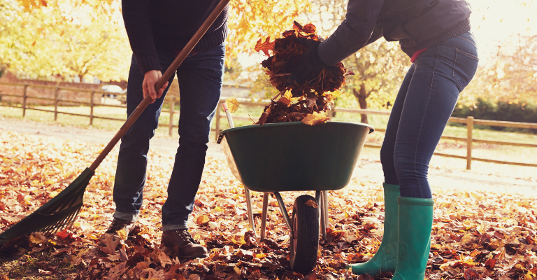 How to compost leaves